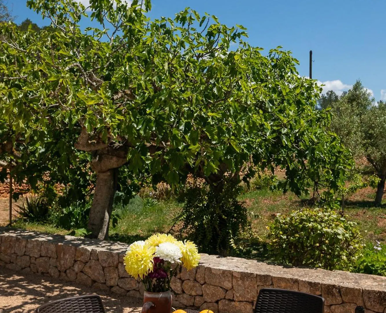 Villa Can Cova Camp 샌안토니오 아파트